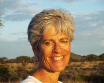 Barbara N. Rickler, M.D.