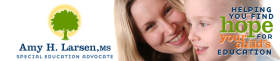 Amy H. Larsen, M.S. Special Education Consultant