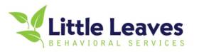 Little Leaves Behavioral Services – Ashburn