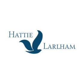 Hattie Larlham Center for Children with Disabilities