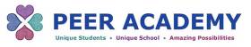 PEER Academy