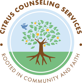 Christian Counseling Service