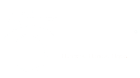Equest