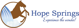 Hope Springs Equestrian Therapy Inc.