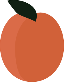 Apricott ABA - Charlotte