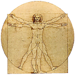 Physical Therapy Services of Rhode Island