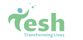 Tesh Inc