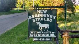 New Beginnings Stables