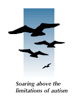 Soaring Eagles Ctr For Autism