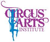 Circus Arts Institute, LLC - Art Therapy