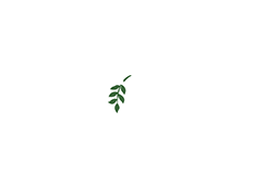 Hope Speaks
