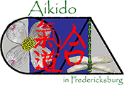 Aikido In Fredericksburg - Youth Specials Class
