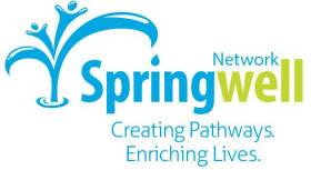Springwell Network Inc