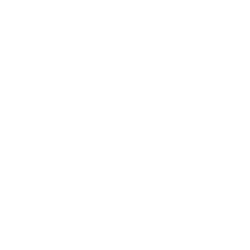 V.I.P. Tots