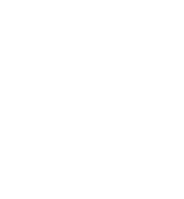 Neurodevelopmental Assessment & Consulting Services