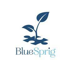 BlueSprig - Cary