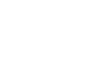 Skylight Financial Group - Toledo