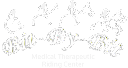 Bit - By - Bit Medical Therapeutic Riding Center