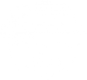 Just Kids Early Childhood Learning Center – Lindenhurst
