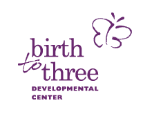 Birth To Three Developmental