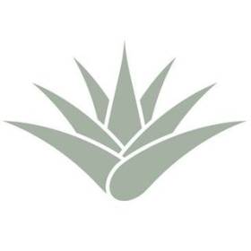 Sonoran Learning and Behavioral Services