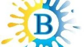 BrightSpots Behavior and Learning