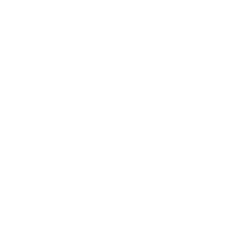 Helping Horseshoe Therapeutic Riding Club