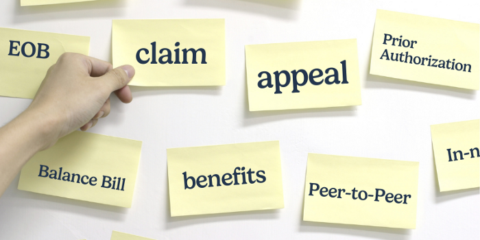 Insurance Terms: Understanding Key Pieces of Your Insurance Claim